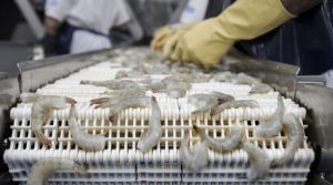 Lee más sobre el artículo Las ventas de camarón se redujeron en marzo por el covid-19